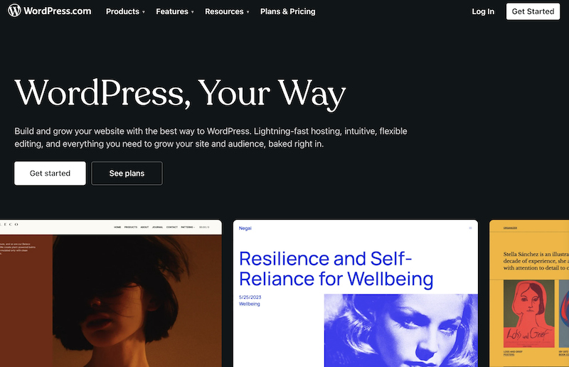 WordPress CMS - knowledge management system examples