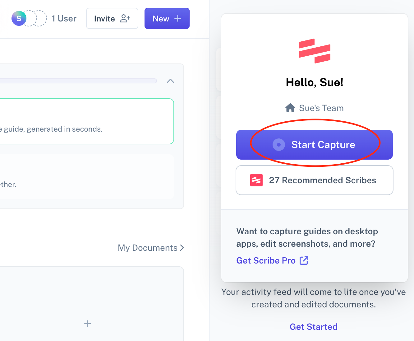 Click Start Capture to start the Scribe software documentation generator